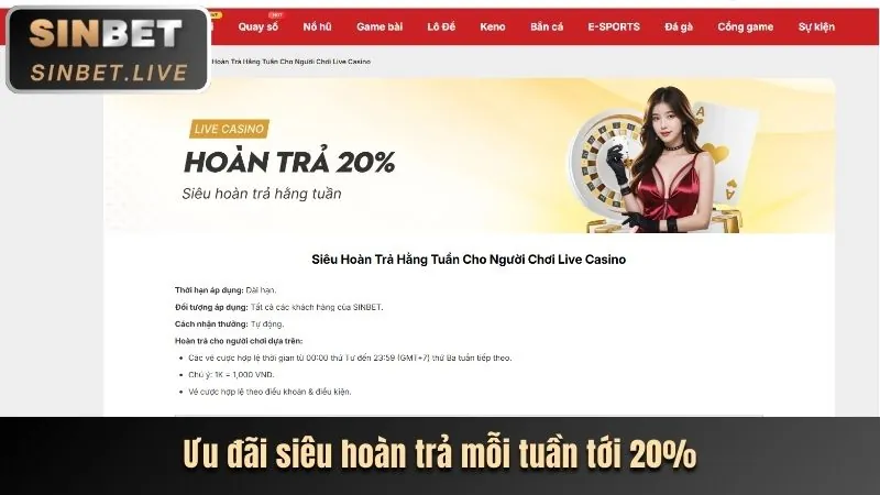 Biểu tượng cược trực tiếp